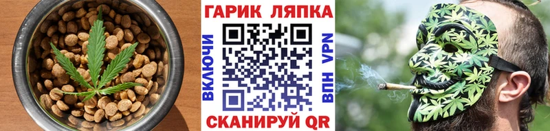 магазин продажи наркотиков  Шумиха  Печенье с ТГК марихуана 