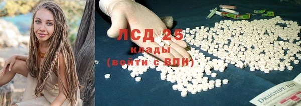 шишки Магадан