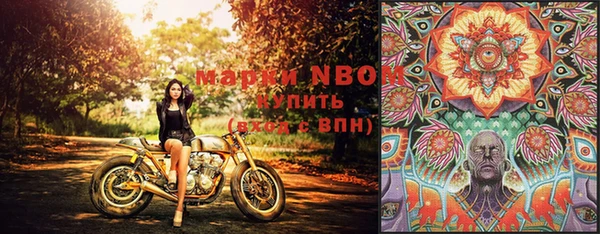 шишки Магадан