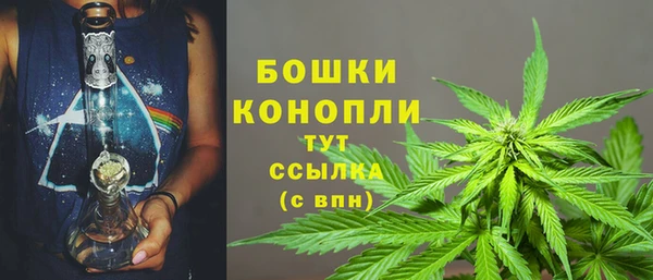 хмурый Липки